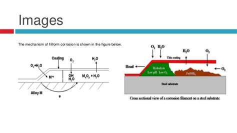 Types of corrosions