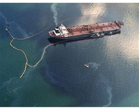 Cause & Effects of the Exxon Valdez Oil Spill: Environmental Impact