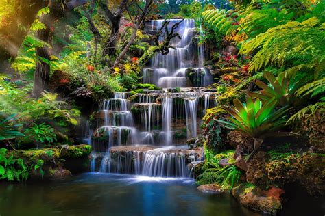 Small cascade waterfall in exotic rainforest · Stock, exotic waterfall ...