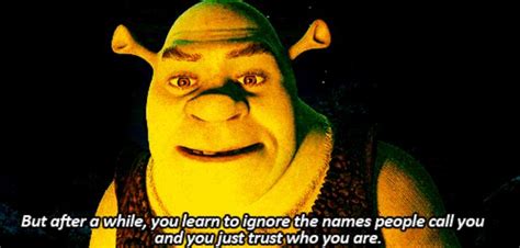 Shrek quote | Shrek quotes, Shrek, Cool gifs