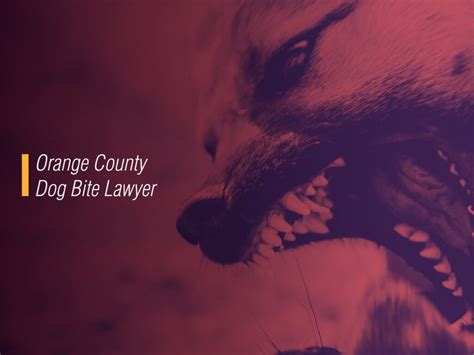 Orange County Dog Bite Attorney - Dog Attack Lawyer - BC