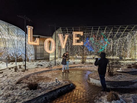 Winnipeg’s zoo to shine again with Zoo Lights display - Winnipeg | Globalnews.ca