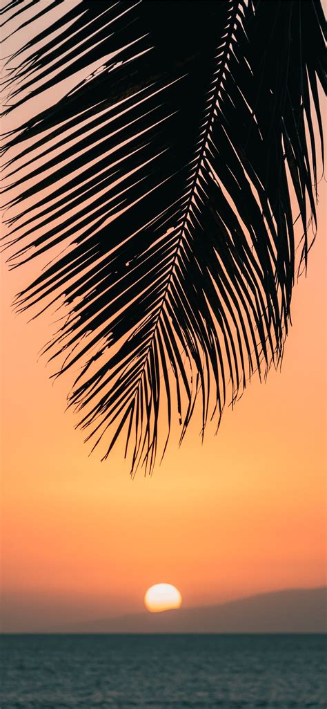 calm ocean at sunset iPhone Wallpapers Free Download