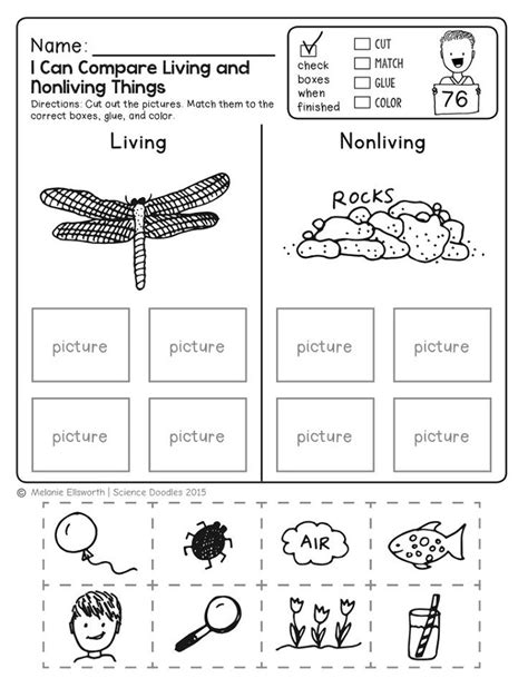 Free Science Worksheets | Activity Shelter