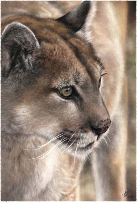 Big Cats | Big cats art, Animal drawings, Animal paintings