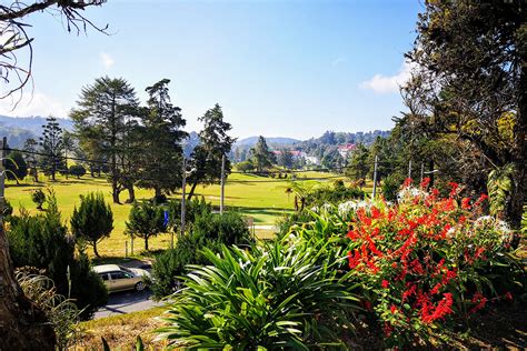 Cameron Highlands Resort