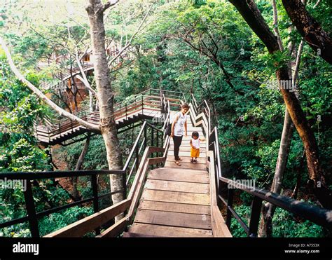 THENMALA ECO TOURISM KERALA Stock Photo - Alamy