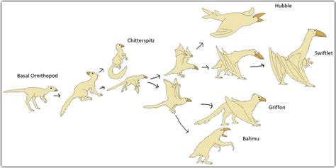 Evolution of the Birds by Sheather888 on DeviantArt