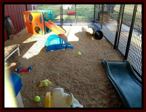 Puppy play area | Dog playground, Dog breeding kennels, Dog play area