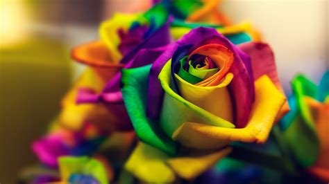 Rainbow Flower Wallpaper (58+ images)