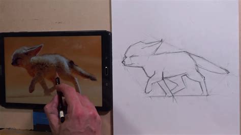 Fennec Fox Drawing Lesson - YouTube