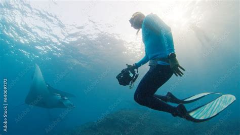 Underwater photographer takes pictures of manta ray. Freediver with ...