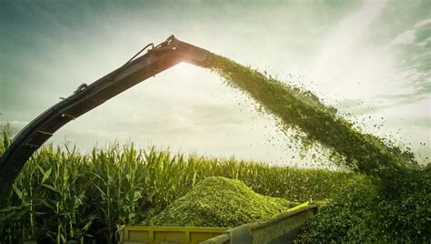 Silage | Find Out the Difference Between Hay & Silage