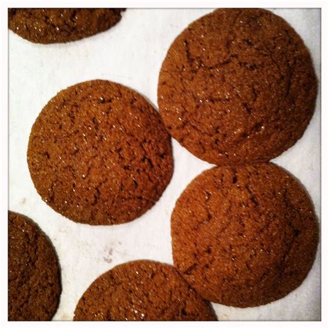 Gingersnaps with Barley Flour | Recipes with barley flour, Barley flour ...