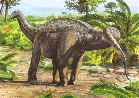 Saltasaurus Facts, Habitat, Diet, Fossils, Pictures