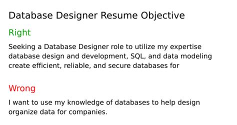 Top 17 Database Designer Resume Objective Examples