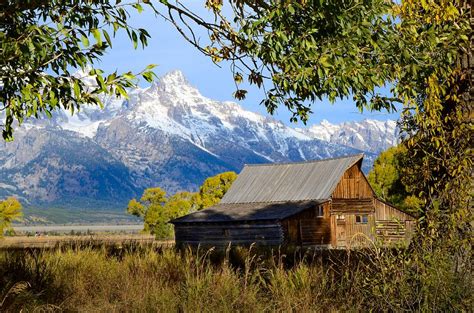 Mormon row in the fall Photograph by Dwight Eddington - Fine Art America