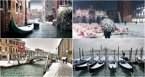 Snow in Venice? Tomorrow it is forecasted Snowfall, See how Venice ...