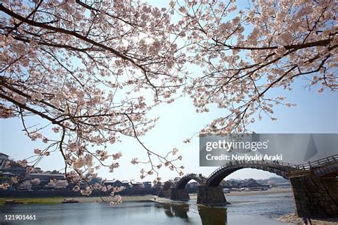 228 Kintai Bridge Stock Photos, High-Res Pictures, and Images - Getty ...