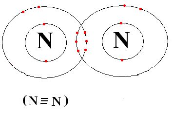 The molecule containing a triple covalent bond is