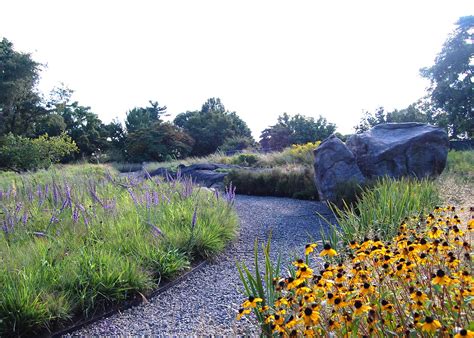 The Native Plant Garden, NY - OvS | Landscape Architecture