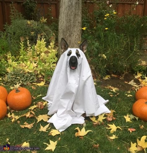 Friendly Ghost Dog Costume | DIY Costumes Under $45