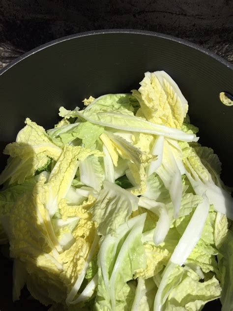 Napa Cabbage Stir Fry Recipe | ThriftyFun