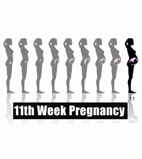 11th Week Pregnancy: Symptoms, Baby Development, Tips And Body Changes