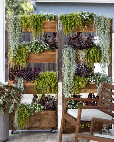 Vertical Gardening Ideas: How & What to Grow Vertically | Garden Design