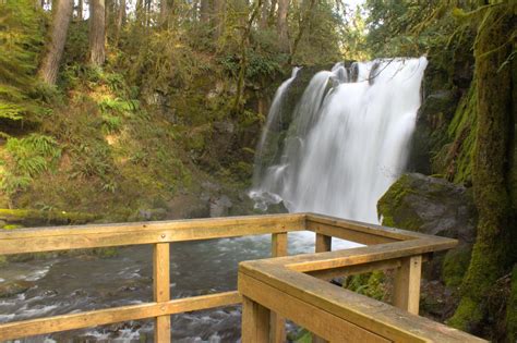 Hike to the Extraordinary Waterfalls of McDowell Creek Falls County ...