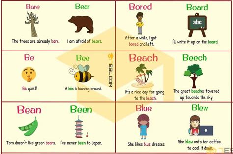 Homophones List Poster