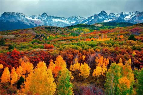 Colorado Fall Activities and Events-St. Mary's B & B