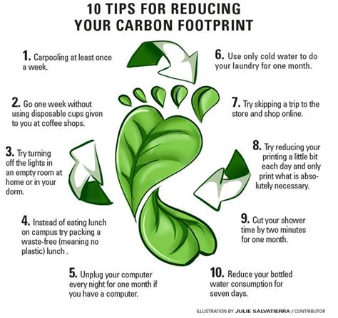 How to reduce your daily carbon footprint – Daily Sundial