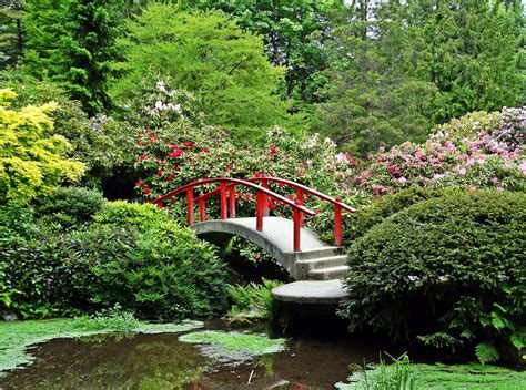 My Secret "Socially Distanced Outings" Around Seattle: Kubota Garden