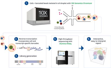 Single-Cell RNA-Sequencing - Next Generation Sequencing - GENEWIZ