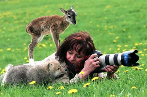 Being A Wildlife Photographer Is Basically To Become One With The ...