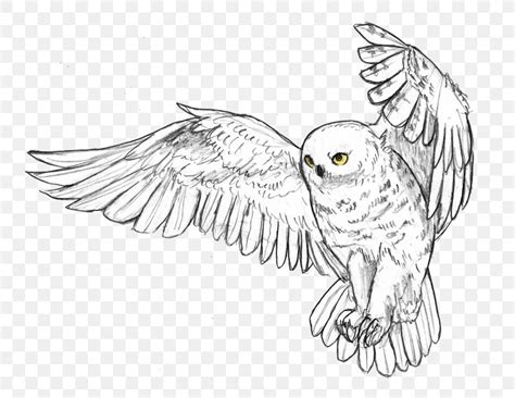 Snowy Owl Bird Great Horned Owl Drawing, PNG, 768x634px, Owl, Animal, Artwork, Barn Owl, Barred ...