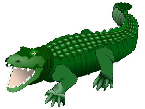 Clipart - Crocodile