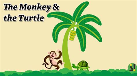 Monkey clipart turtle, Picture #2976602 monkey clipart turtle