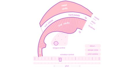 Pink Trombone, An Interactive Cross-Section of the Human Vocal Tract ...