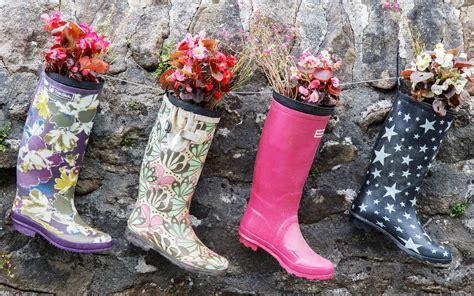 Colorful Rain Boots Free Stock Photo - Public Domain Pictures