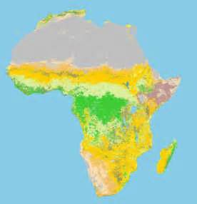 Deforestation, Desertification, and the Drought in West Africa