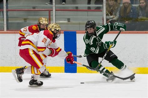 Ice Hockey Top 20 profile: Delbarton looking to find rhythm - nj.com