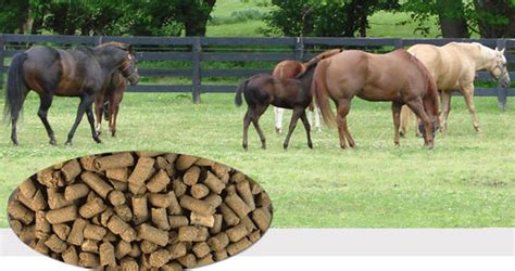 Animal Feed Machine Made Feed Pellets For Horse Farming