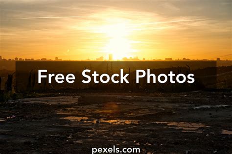 Back Seen Photos, Download The BEST Free Back Seen Stock Photos & HD Images