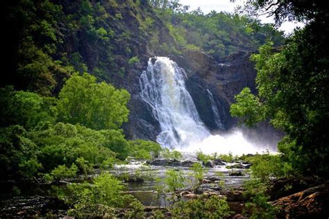 4 Reasons Why You Should Visit the Daintree During the Wet Season!