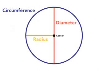 How To Calculate Circumference of a Circle.