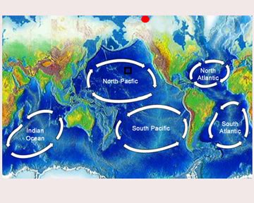 A Study of the Central North Pacific Gyre - Melinda V. Marine Science