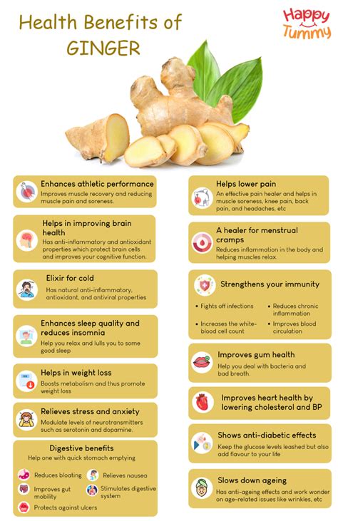 Top 15 Hidden Benefits of Ginger - Happytummy