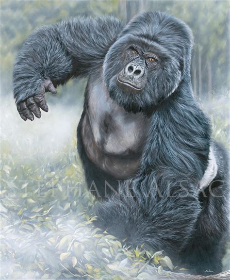 Silverback Gorilla Painting | ubicaciondepersonas.cdmx.gob.mx